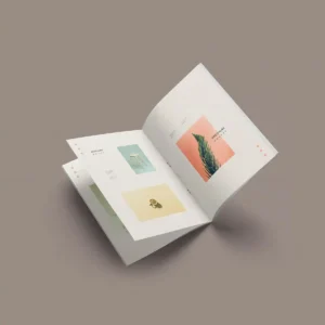 Brochures